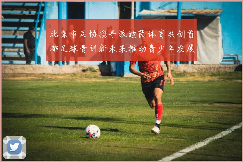 北京市足协携手派迪茵体育共创首都足球青训新未来推动青少年发展与足球事业繁荣