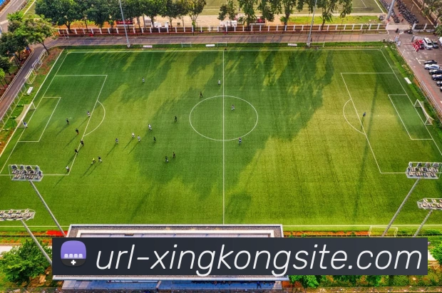 星空体育发展历程