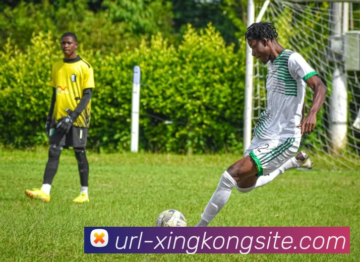 德甲2025年进球榜揭晓凯恩领衔奥利塞紧随其后吉拉西希克表现抢眼