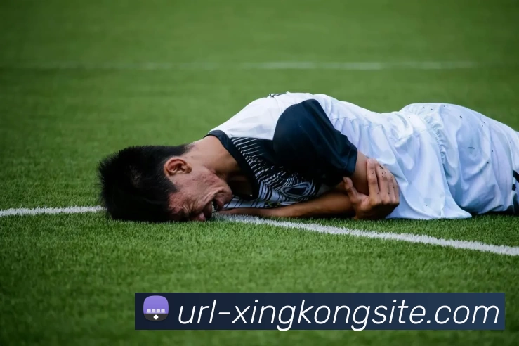 数据分析功能
